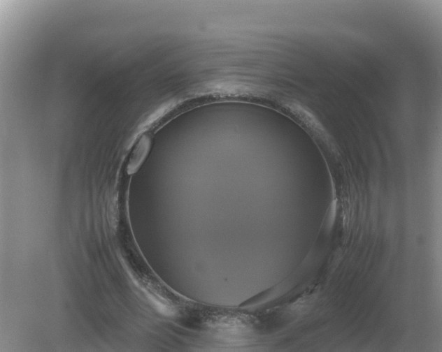 X0000079320488200611251808