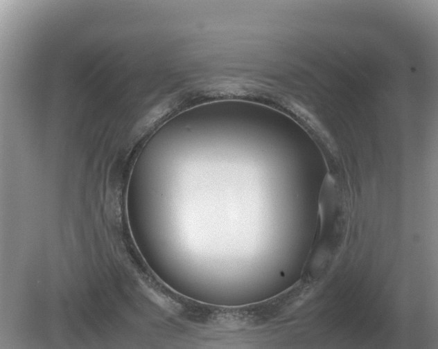 X0000079320489200611251808