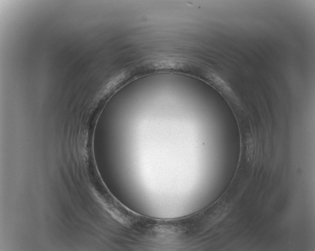 X0000079320490200611251808