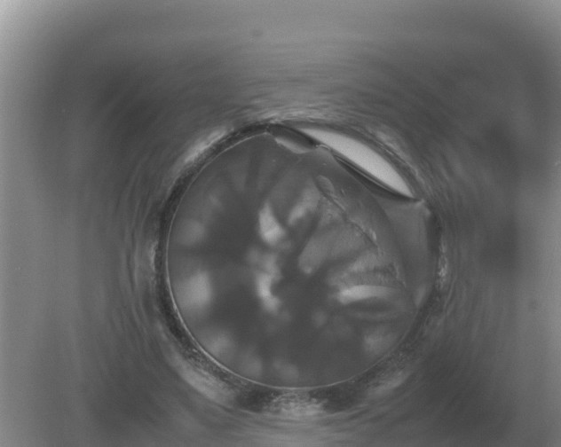 X0000079320491200611251808