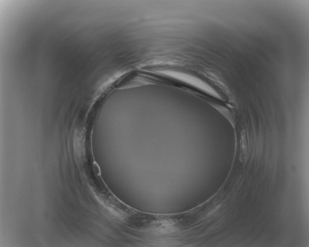 X0000079320492200611251808