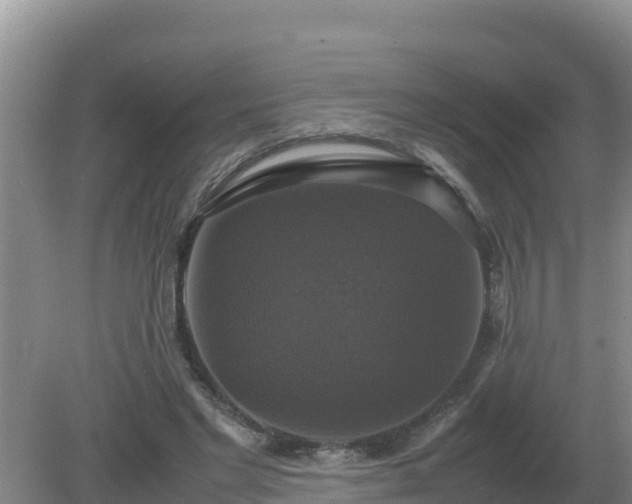 X0000079320493200611251808