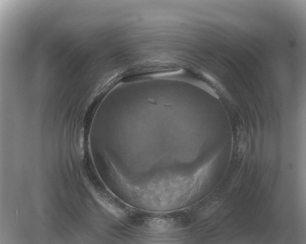 X0000079320494200611251808