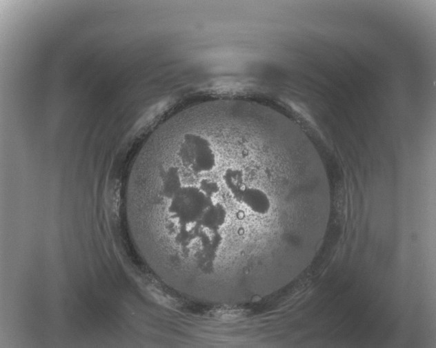 X0000079320495200611251808