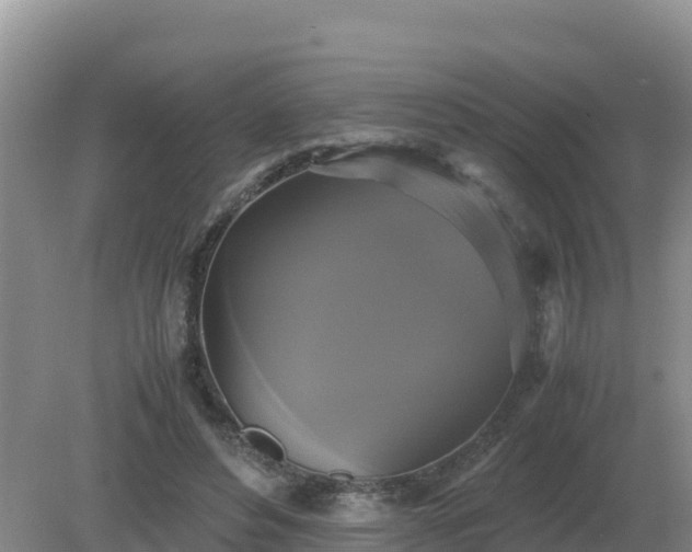 X0000079320496200611251808