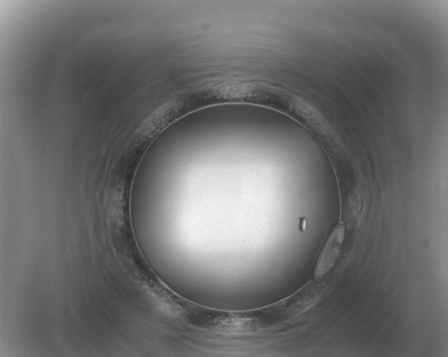 X0000079320497200611251808