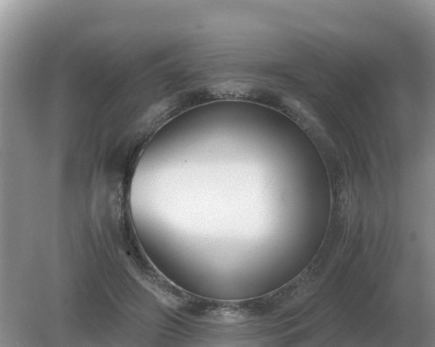 X0000079320498200611251808