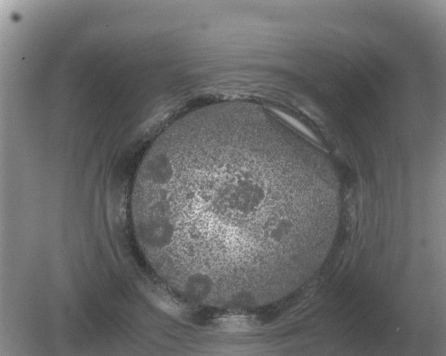 X0000079320499200611251808