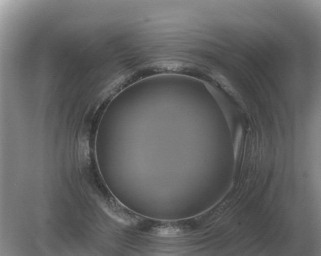 X0000079320500200611251808