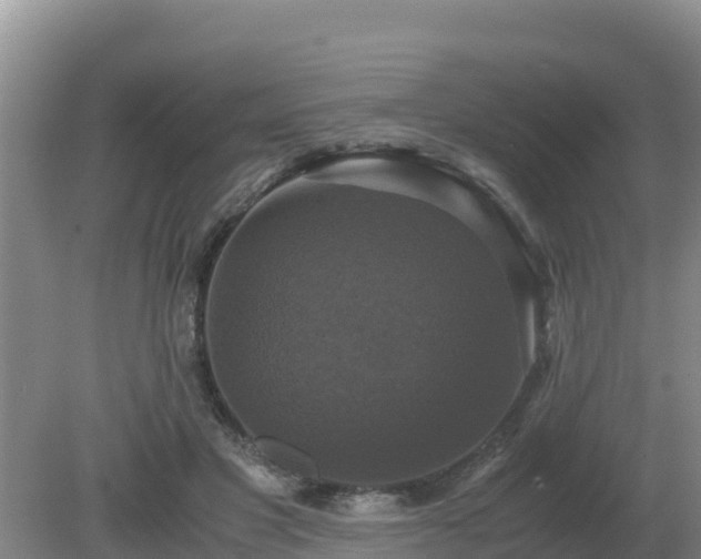 X0000079320501200611251808