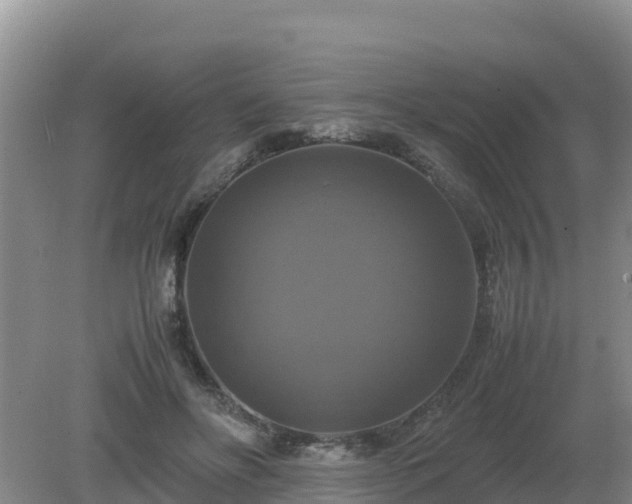 X0000079320502200611251808