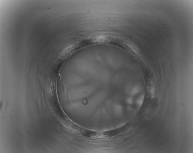 X0000079320503200611251808