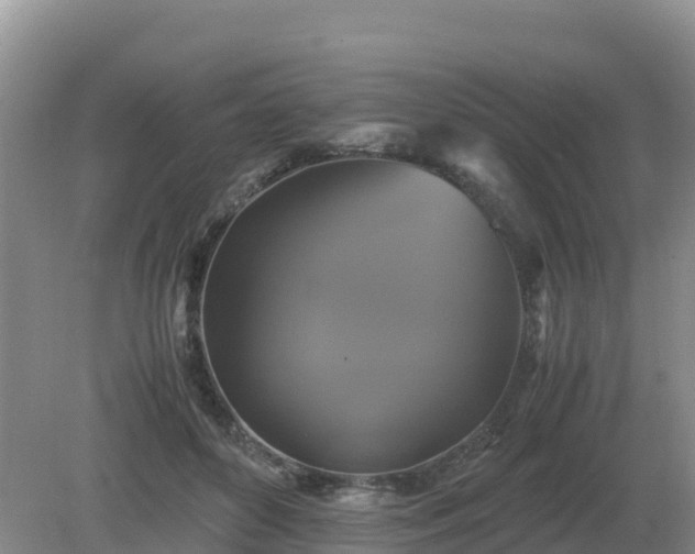 X0000079320504200611251808