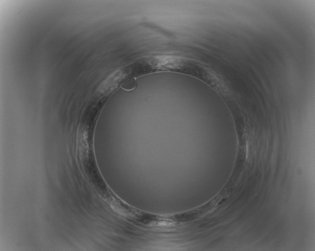 X0000079320506200611251808