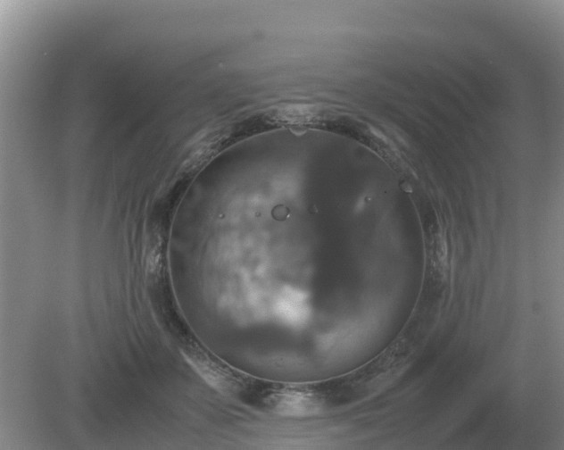 X0000079320507200611251808