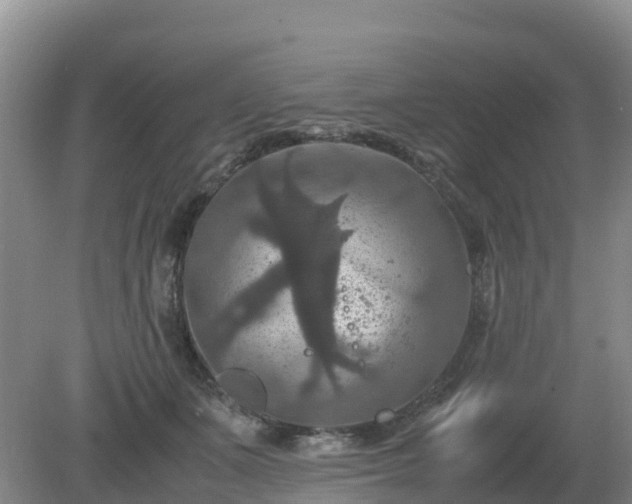 X0000079320511200611251808