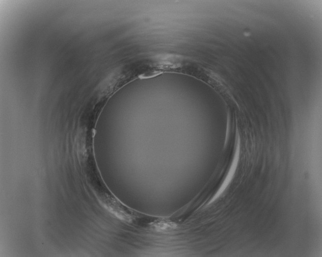 X0000079320512200611251808