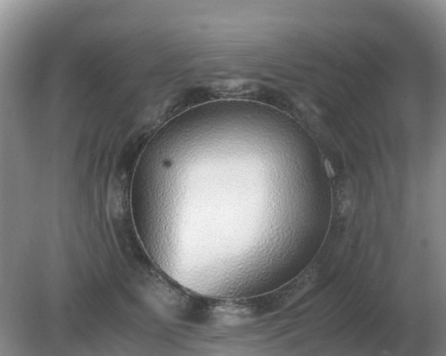 X0000079320515200611251808