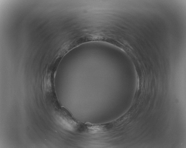 X0000079320516200611251808