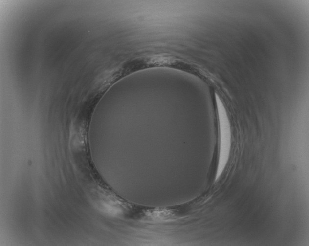 X0000079320517200611251808