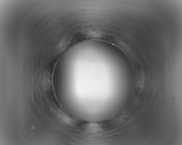 X0000079320518200611251808