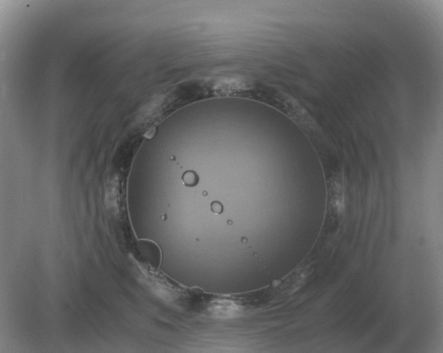 X0000079320519200611251808