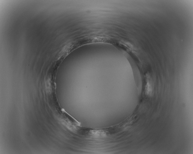 X0000079320520200611251808