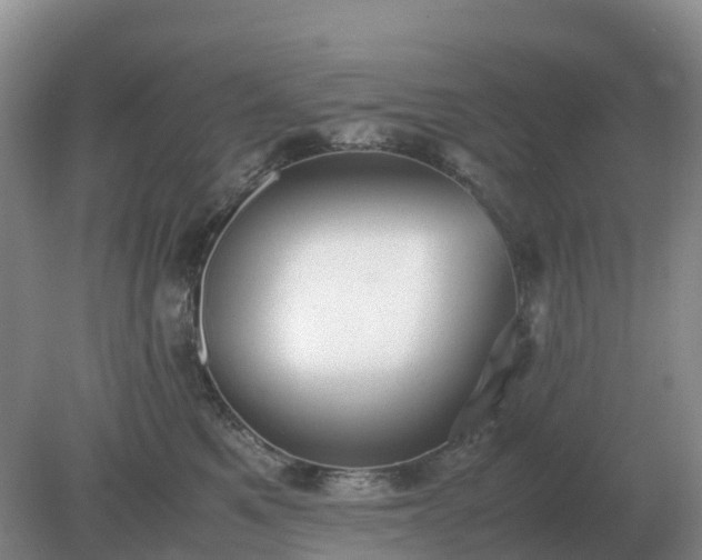 X0000079320521200611251808