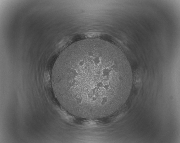 X0000079320523200611251808