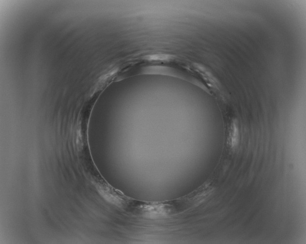 X0000079320524200611251808