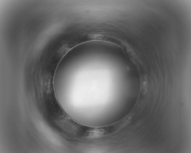 X0000079320525200611251808