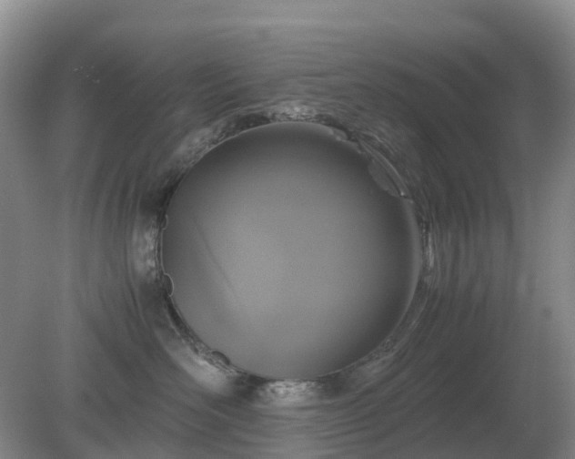 X0000079320526200611251808