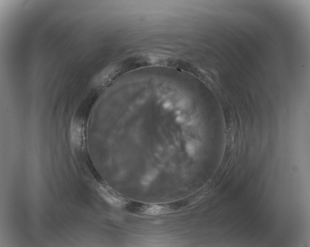 X0000079320527200611251808