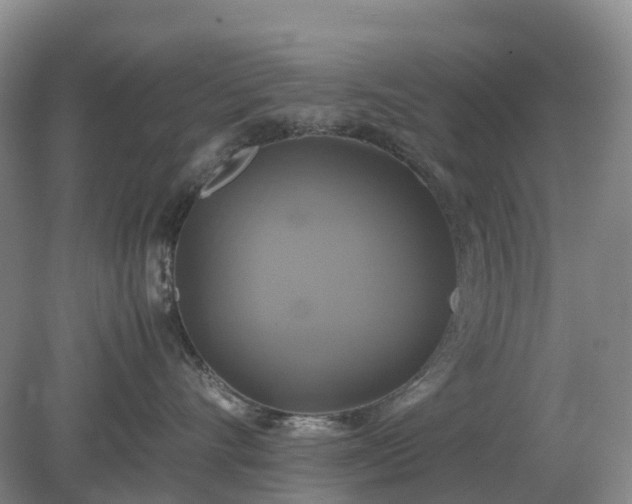 X0000079320528200611251808