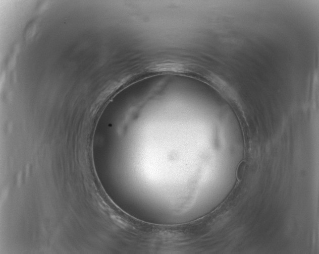 X0000079320529200611251807