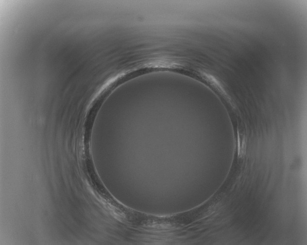 X0000079320531200611251807