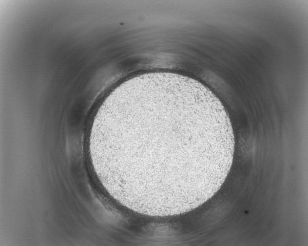 X0000079320534200611251807