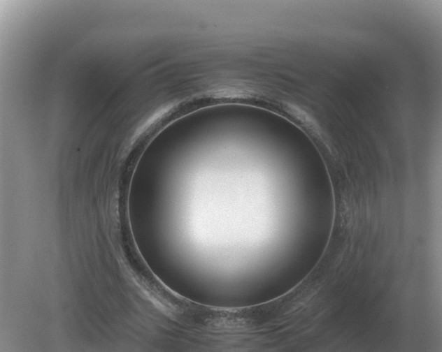 X0000079320535200611251807