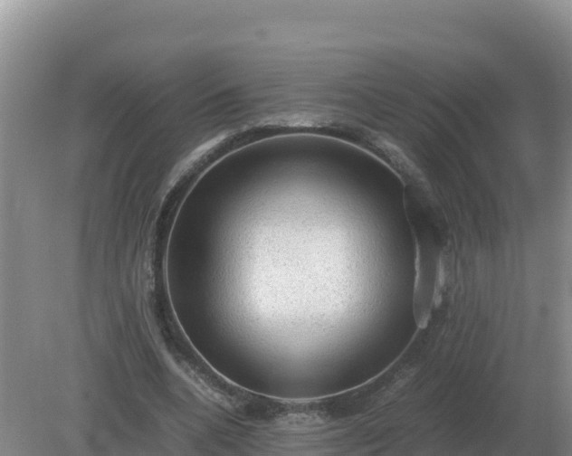 X0000079320536200611251807