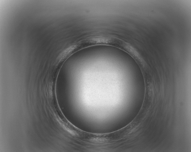 X0000079320537200611251807