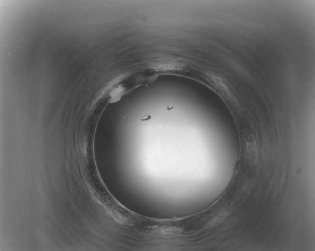 X0000079320539200611251807