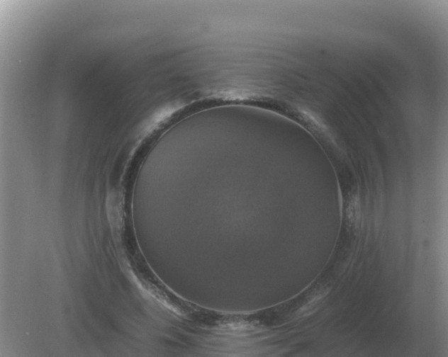 X0000079320540200611251807