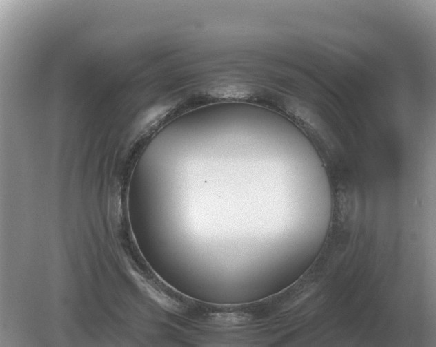 X0000079320541200611251807