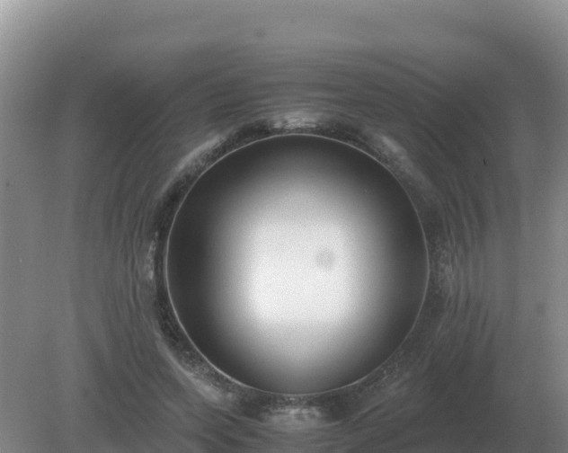 X0000079320543200611251807