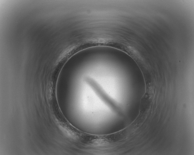 X0000079320544200611251807