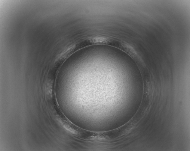 X0000079320545200611251807