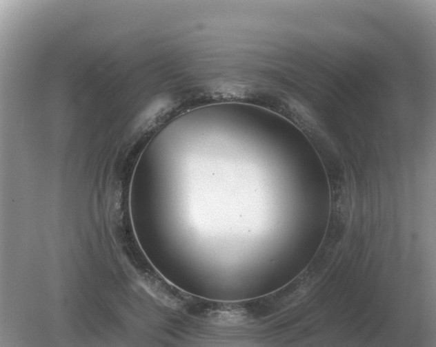 X0000079320548200611251807