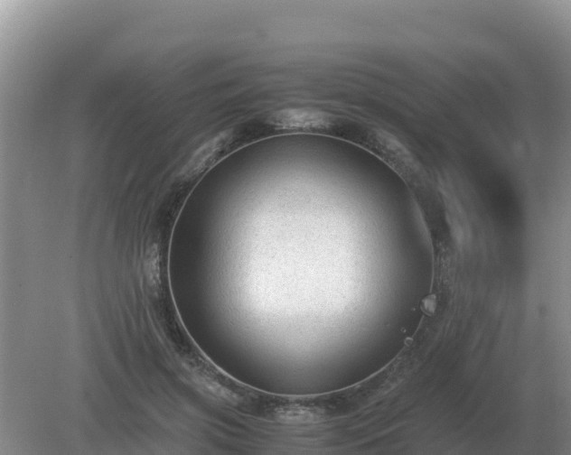 X0000079320549200611251807