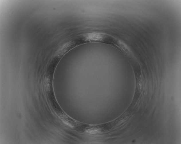 X0000079320551200611251807