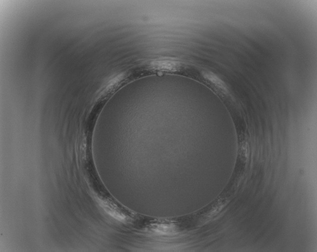 X0000079320552200611251807